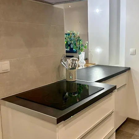 Apartamento Dalikyda - Le Panorama - Jardin Et Parking Privé Sur La Et Aperçu *