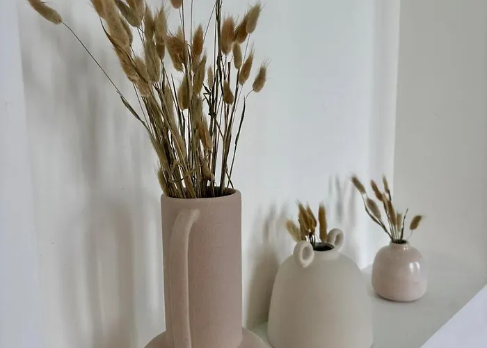 Dalikyda - Le Panorama - Jardin Et Parking Prive Sur La Et Apercu